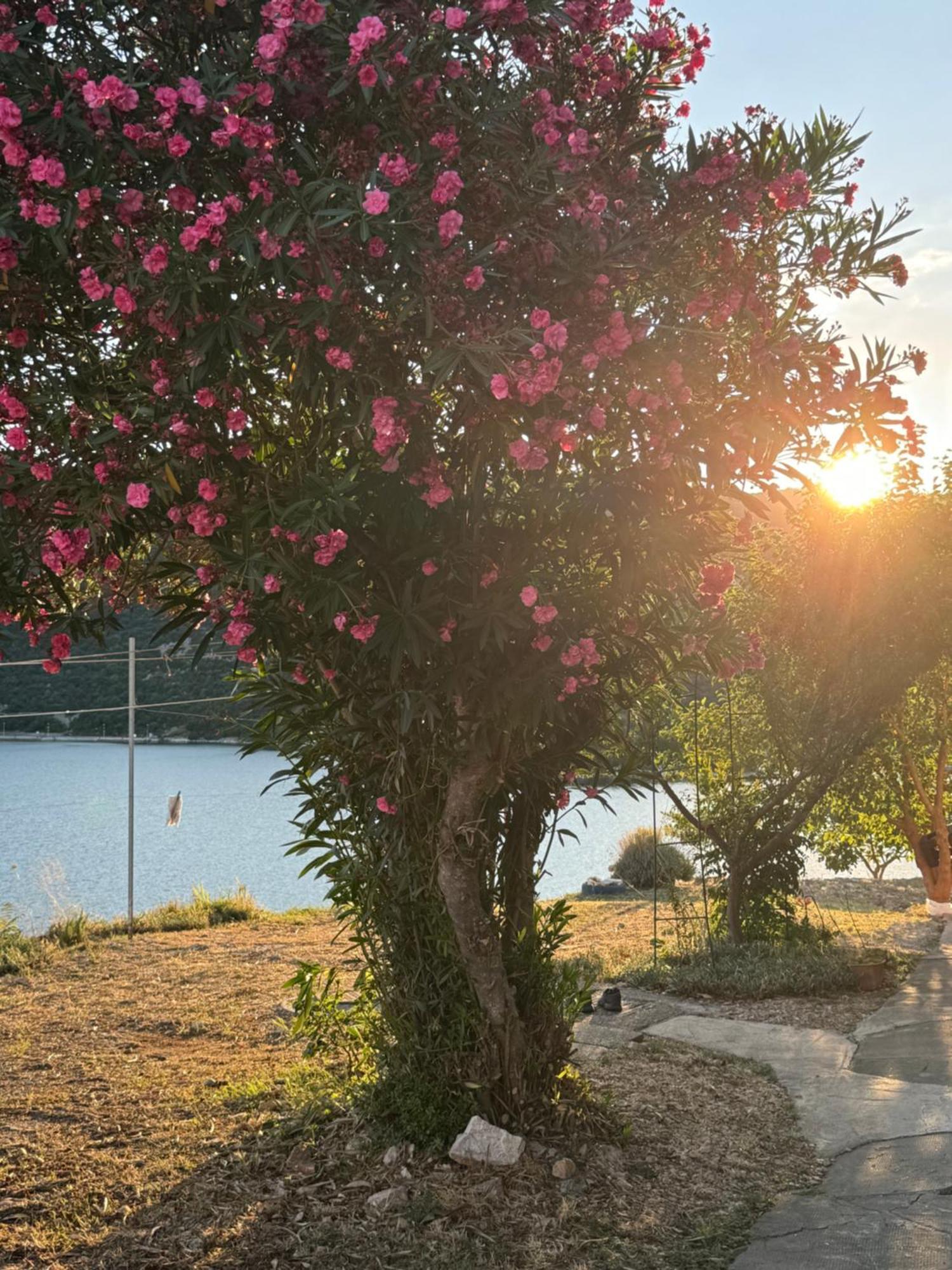 Apartment Laura Ploce (Dubrovnik-Neretva)